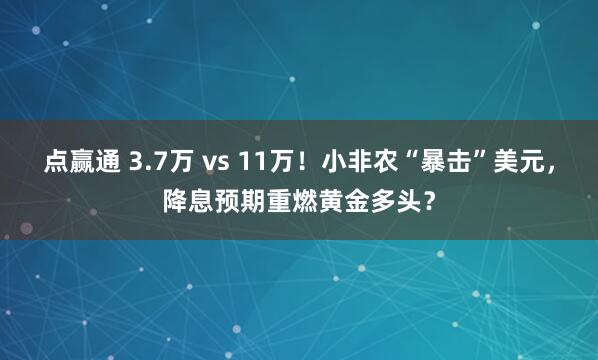 点赢通 3.7万 vs 11万！小非农“暴击”美元，降息预期重燃黄金多头？