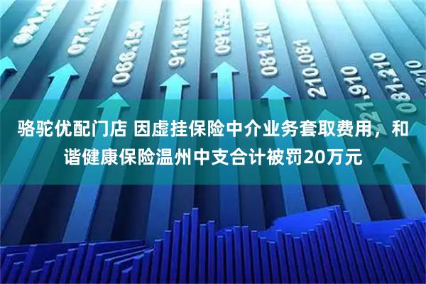 骆驼优配门店 因虚挂保险中介业务套取费用，和谐健康保险温州中支合计被罚20万元