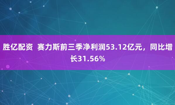 胜亿配资  赛力斯前三季净利润53.12亿元，同比增长31.56%
