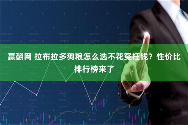 赢翻网 拉布拉多狗粮怎么选不花冤枉钱？性价比排行榜来了