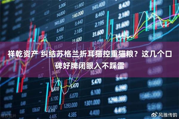 祥乾资产 纠结苏格兰折耳猫控重猫粮？这几个口碑好牌闭眼入不踩雷