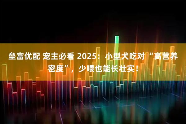 垒富优配 宠主必看 2025：小型犬吃对 “高营养密度”，少喂也能长壮实！
