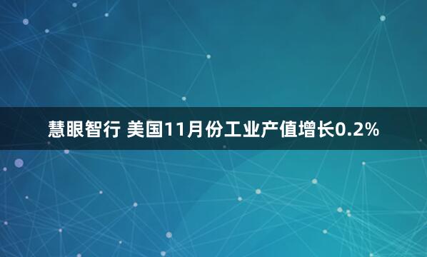 慧眼智行 美国11月份工业产值增长0.2%