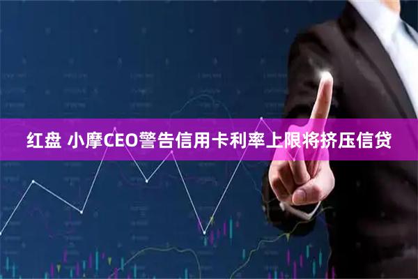 红盘 小摩CEO警告信用卡利率上限将挤压信贷